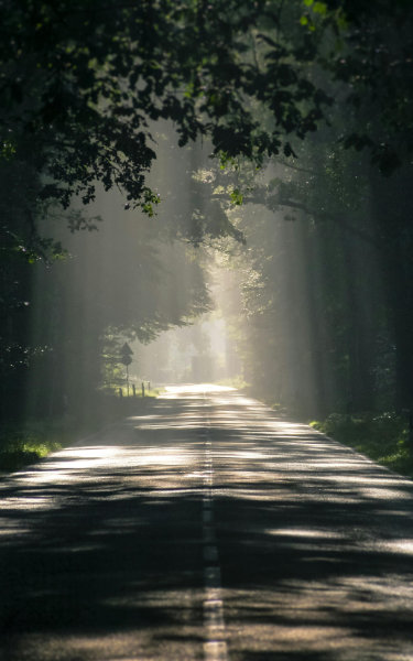 THE ROAD THAT CHANGES EVERYTHING